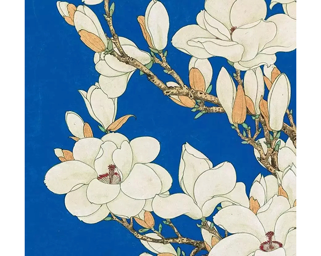 中國嘉德2019秋拍 | 精麗堂皇，雍容華貴：于非闇《玉蘭鸚哥圖》