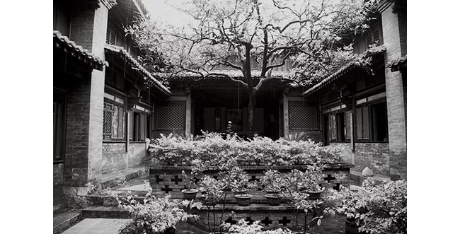 中國嘉德2019秋拍 |  茶中極品，珍如拱璧——百年藍標·宋聘號